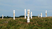 sculptures 23 habitants au km2, vaches et blocs de sel