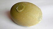 Savon Provendi, presse, motifs
